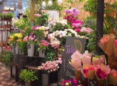 100+ Flower Shop Names